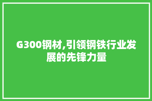 G300钢材,引领钢铁行业发展的先锋力量