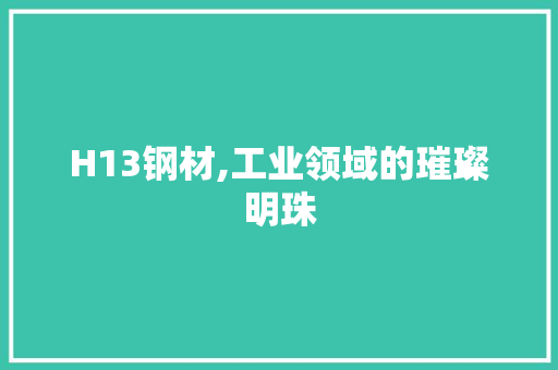 H13钢材,工业领域的璀璨明珠