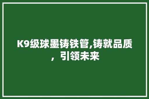 K9级球墨铸铁管,铸就品质，引领未来