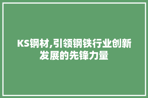 KS钢材,引领钢铁行业创新发展的先锋力量