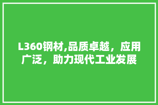 L360钢材,品质卓越，应用广泛，助力现代工业发展