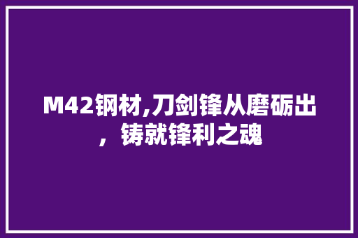 M42钢材,刀剑锋从磨砺出，铸就锋利之魂