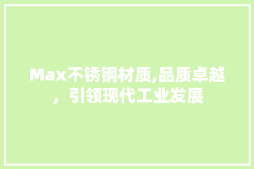 Max不锈钢材质,品质卓越，引领现代工业发展