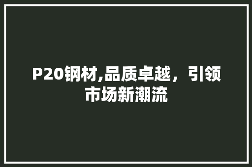 P20钢材,品质卓越，引领市场新潮流