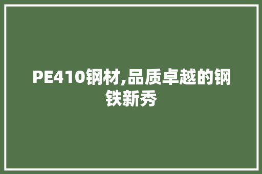 PE410钢材,品质卓越的钢铁新秀