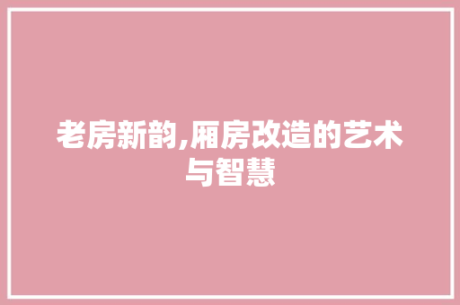 老房新韵,厢房改造的艺术与智慧