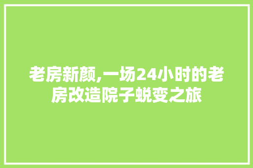 老房新颜,一场24小时的老房改造院子蜕变之旅