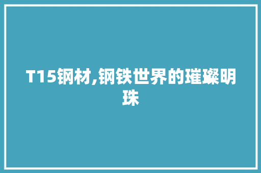 T15钢材,钢铁世界的璀璨明珠