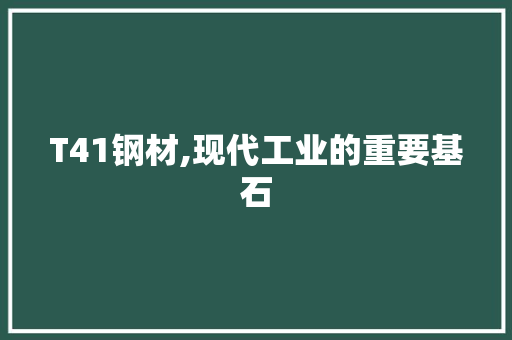 T41钢材,现代工业的重要基石