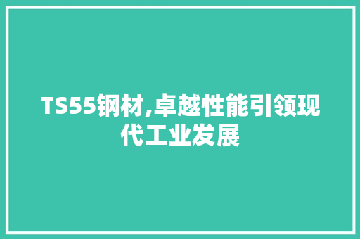 TS55钢材,卓越性能引领现代工业发展