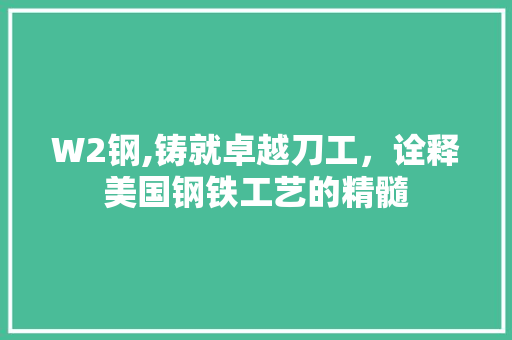 W2钢,铸就卓越刀工，诠释美国钢铁工艺的精髓
