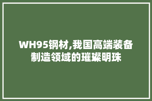 WH95钢材,我国高端装备制造领域的璀璨明珠