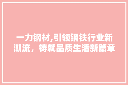 一力钢材,引领钢铁行业新潮流，铸就品质生活新篇章