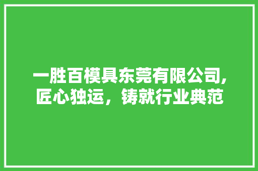 一胜百模具东莞有限公司,匠心独运，铸就行业典范