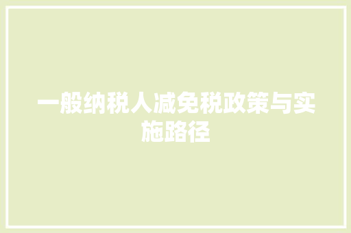 一般纳税人减免税政策与实施路径
