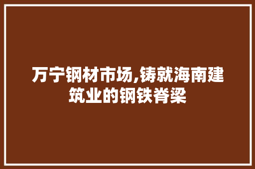 万宁钢材市场,铸就海南建筑业的钢铁脊梁
