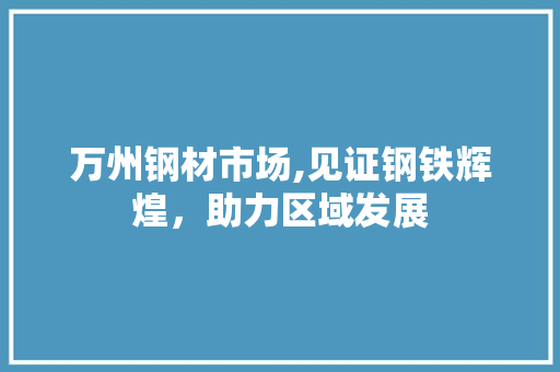 万州钢材市场,见证钢铁辉煌，助力区域发展