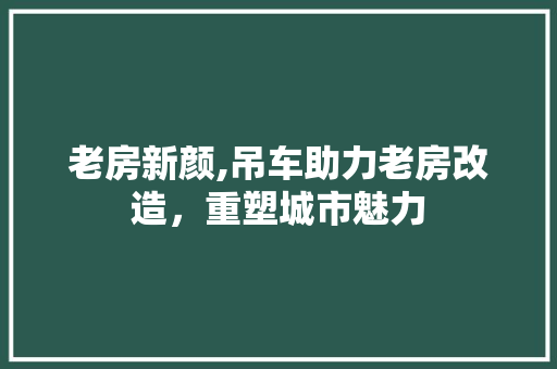 老房新颜,吊车助力老房改造，重塑城市魅力