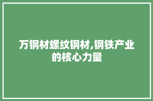 万钢材螺纹钢材,钢铁产业的核心力量