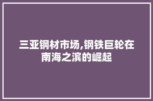 三亚钢材市场,钢铁巨轮在南海之滨的崛起