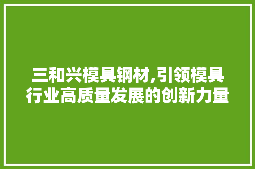 三和兴模具钢材,引领模具行业高质量发展的创新力量