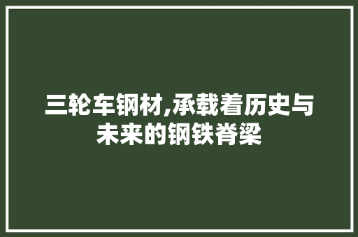 三轮车钢材,承载着历史与未来的钢铁脊梁