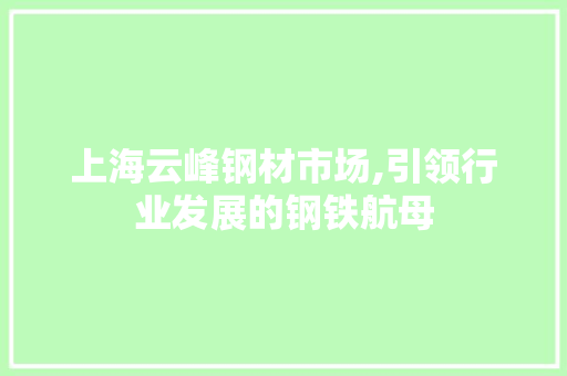 上海云峰钢材市场,引领行业发展的钢铁航母