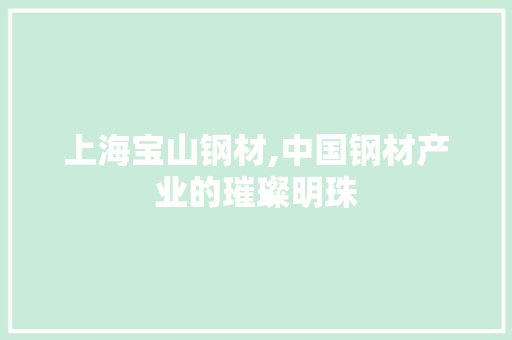 上海宝山钢材,中国钢材产业的璀璨明珠