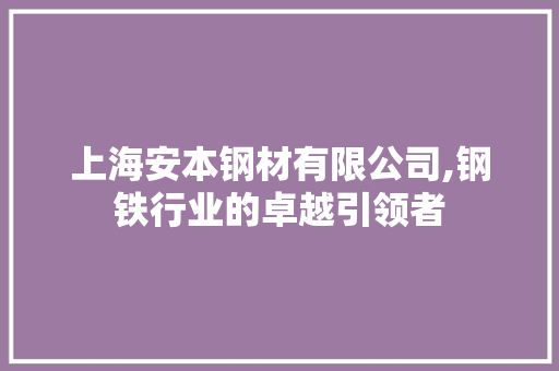 上海安本钢材有限公司,钢铁行业的卓越引领者