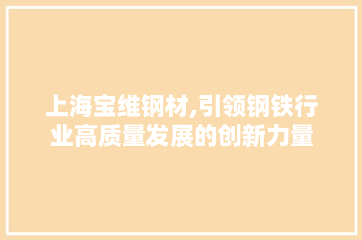 上海宝维钢材,引领钢铁行业高质量发展的创新力量