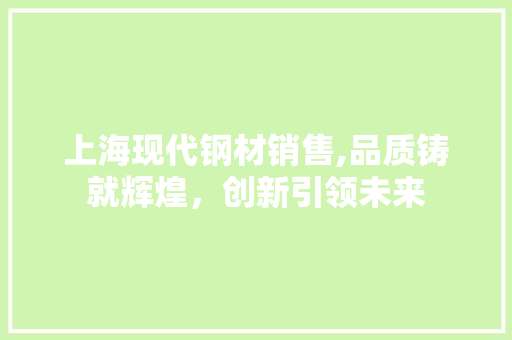 上海现代钢材销售,品质铸就辉煌，创新引领未来