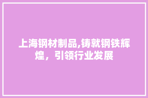 上海钢材制品,铸就钢铁辉煌，引领行业发展