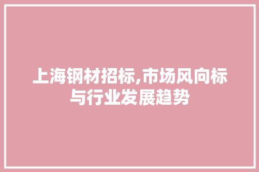 上海钢材招标,市场风向标与行业发展趋势