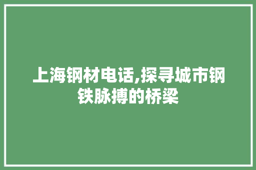 上海钢材电话,探寻城市钢铁脉搏的桥梁