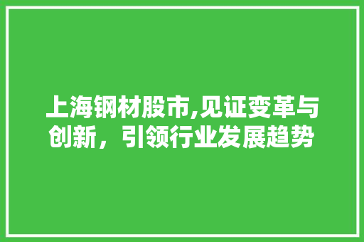 上海钢材股市,见证变革与创新，引领行业发展趋势