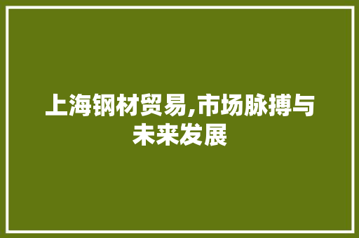 上海钢材贸易,市场脉搏与未来发展
