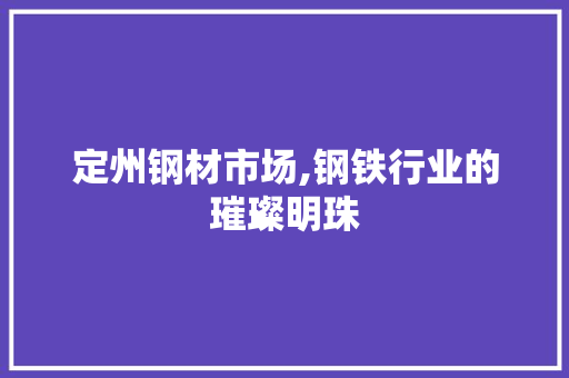 定州钢材市场,钢铁行业的璀璨明珠
