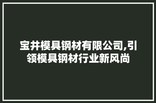 宝井模具钢材有限公司,引领模具钢材行业新风尚