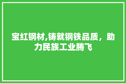 宝红钢材,铸就钢铁品质，助力民族工业腾飞