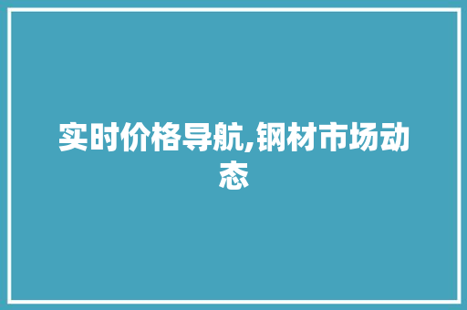 实时价格导航,钢材市场动态