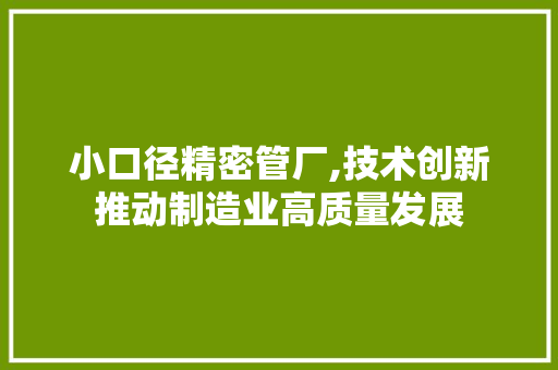 小口径精密管厂,技术创新推动制造业高质量发展