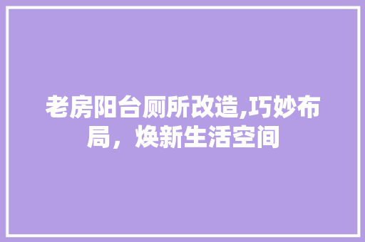 老房阳台厕所改造,巧妙布局，焕新生活空间