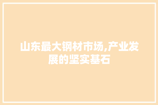 山东最大钢材市场,产业发展的坚实基石