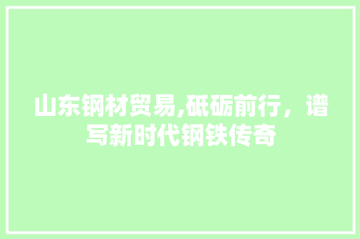 山东钢材贸易,砥砺前行，谱写新时代钢铁传奇