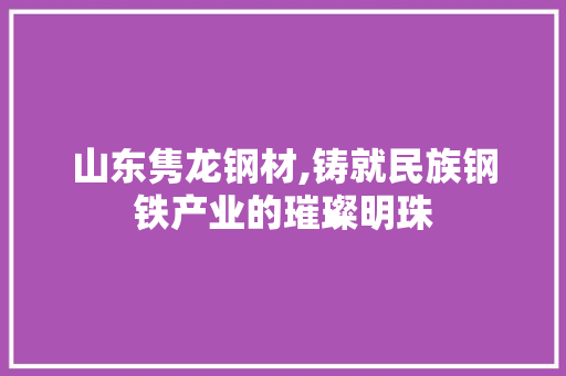 山东隽龙钢材,铸就民族钢铁产业的璀璨明珠