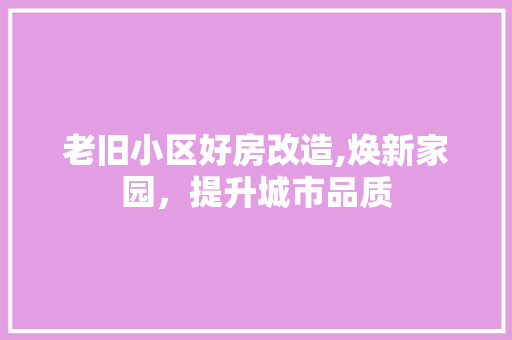 老旧小区好房改造,焕新家园，提升城市品质