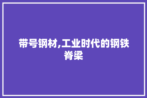 带号钢材,工业时代的钢铁脊梁