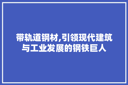 带轨道钢材,引领现代建筑与工业发展的钢铁巨人