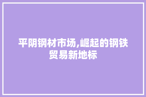 平阴钢材市场,崛起的钢铁贸易新地标