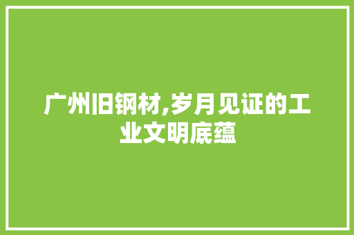 广州旧钢材,岁月见证的工业文明底蕴